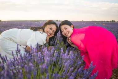 Genç, mutlu ve güzel Asyalı kadın lavanta çiçeği tarlasında İspanyol kız arkadaşıyla birlikte rahat ve kaygısız tatillerin tadını çıkarıyor. 