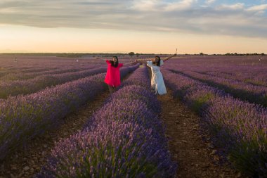 Genç, mutlu ve güzel Asyalı kadın lavanta çiçeği tarlasında İspanyol kız arkadaşıyla birlikte rahat ve kaygısız tatillerin tadını çıkarıyor. 