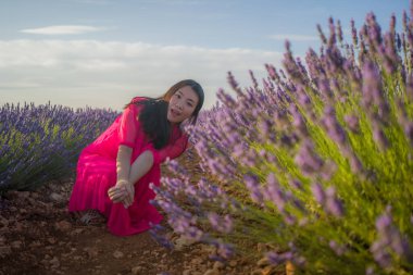 Genç Asyalı kadın lavanta çiçekleri tarlasında mutlu ve güzel bir Çinli kız tatlı mavi elbisesiyle tatilin tadını çıkarıyor mor çiçekli çayırlarda dinleniyor.