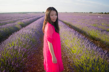 Genç Asyalı kadın lavanta çiçekleri tarlasında mutlu ve güzel bir Çinli kız tatlı mavi elbisesiyle tatilin tadını çıkarıyor mor çiçekli çayırlarda dinleniyor.