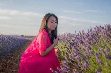 Lavanta çiçekleri tarlasında genç Asyalı bir kadın. Mutlu ve güzel bir Japon kızı. Tatlı, mavi yaz elbisesi içinde.