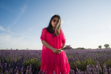 Genç Asyalı kadın lavanta çiçekleri tarlasında - Mutlu ve güzel Koreli kız tatlı mavi elbisesiyle tatilin tadını çıkarıyor mor çiçekli çayırda dinleniyor