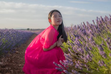Genç Asyalı kadın lavanta çiçekleri tarlasında - Mutlu ve güzel Koreli kız tatlı mavi elbisesiyle tatilin tadını çıkarıyor mor çiçekli çayırda dinleniyor