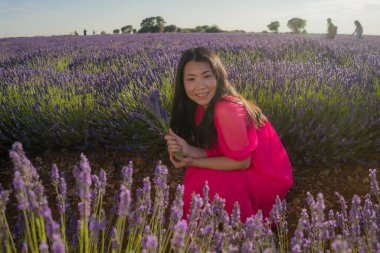 Genç Asyalı kadın lavanta çiçekleri tarlasında - Mutlu ve güzel Koreli kız tatlı mavi elbisesiyle tatilin tadını çıkarıyor mor çiçekli çayırda dinleniyor
