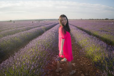 Genç Asyalı kadın lavanta çiçekleri tarlasında - Mutlu ve güzel Koreli kız tatlı mavi elbisesiyle tatilin tadını çıkarıyor mor çiçekli çayırda dinleniyor