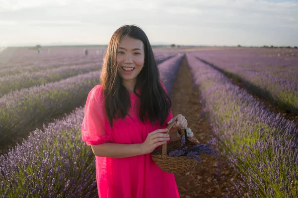 Jovem Mulher Asiática Livre Campo Flores Lavanda Menina Chinesa Feliz — Fotografia de Stock