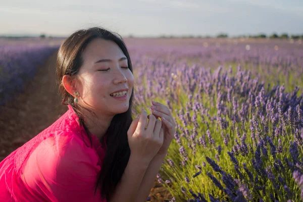 Genç Asyalı kadın lavanta çiçekleri tarlasında - Mutlu ve güzel Koreli kız tatlı mavi elbisesiyle tatilin tadını çıkarıyor mor çiçekli çayırda dinleniyor