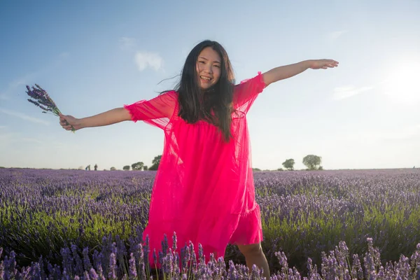 Genç Asyalı kadın lavanta çiçekleri tarlasında - Mutlu ve güzel Koreli kız tatlı mavi elbisesiyle tatilin tadını çıkarıyor mor çiçekli çayırda dinleniyor