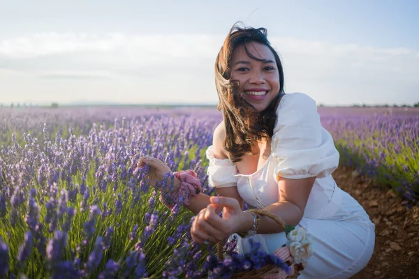 Açık havada, beyaz yaz elbiseli, mutlu ve çekici bir kadının romantik portresi seyahat ve tatil konseptindeki lavanta çiçekleri tarlasında tasasız eğleniyor.