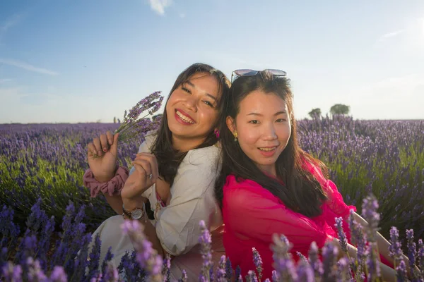 Jovem Feliz Bonita Mulher Coreana Asiática Jogando Campo Flores Lavanda — Fotografia de Stock