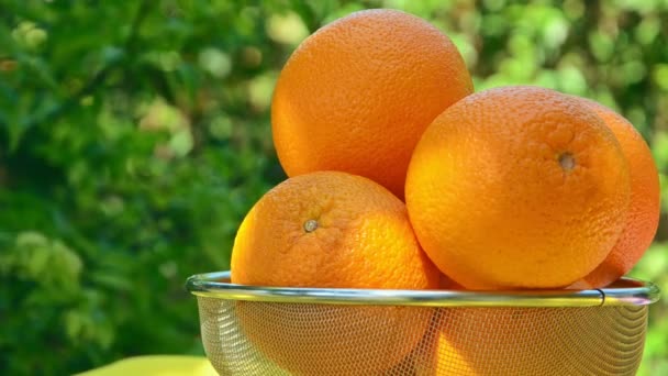 Oranges Dans Récipient Avec Des Plantes Arrière Plan — Video