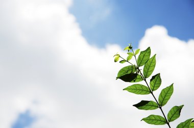 gökyüzü arka plan