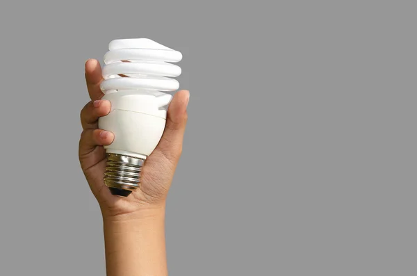 Lampes à économie d'énergie — Photo