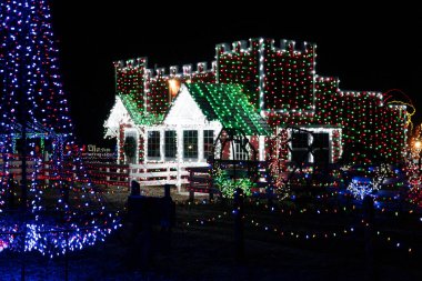 Gece vakti bir binayı kaplayan Noel ışıkları..