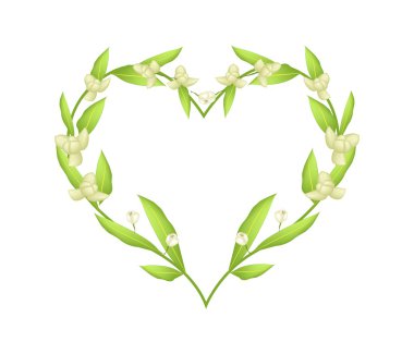 Ylang Ylang Flowers in A Heart Shape Frame