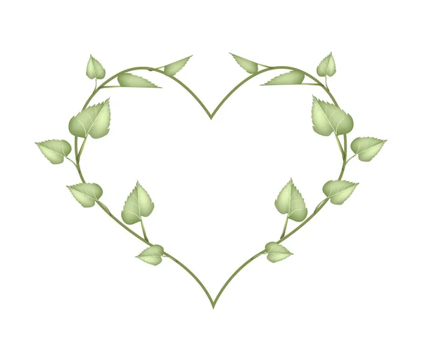 Hojas verdes frescas en forma de corazón hermoso — Vector de stock