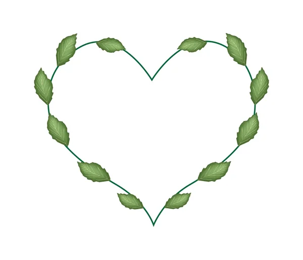 Fresh Green Leaves in A Lovely Heart Shape — Stockvector