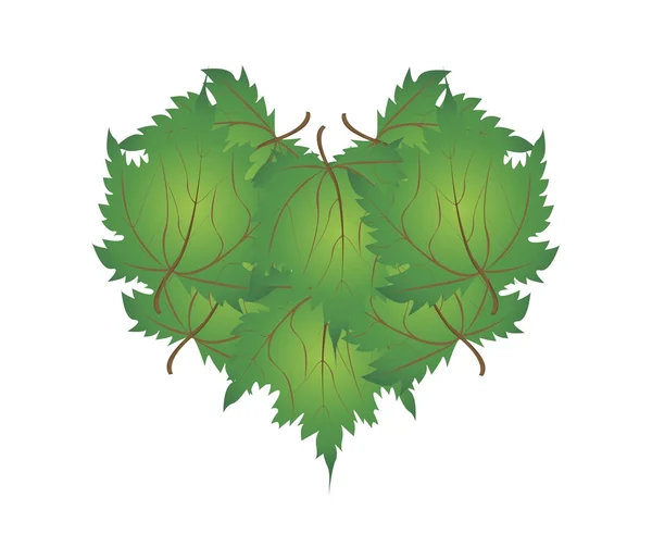 Green Maple Leaves in A Heart Shape — Stock vektor