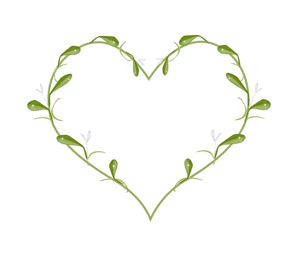 Beautiful Green Mistletoe in A Heart Shape — Stockvector