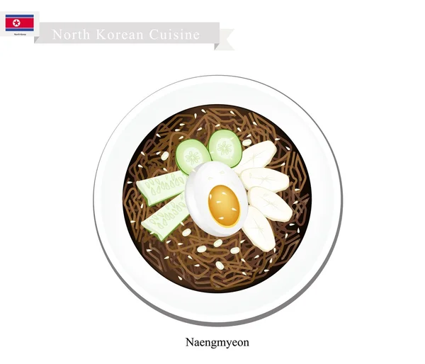 Naengmyeon or Korean Cold Noodles with Egg and Kimichi — Stock Vector