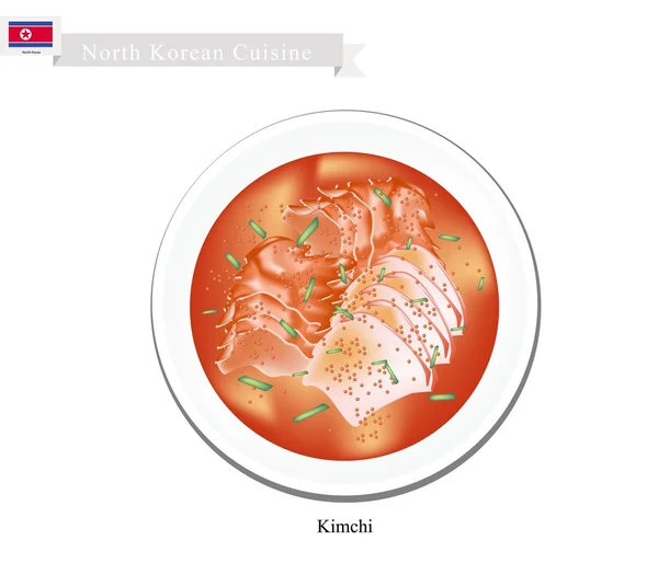 Kimchi of Koreaanse gezouten kool of groenten met pittige saus — Stockvector