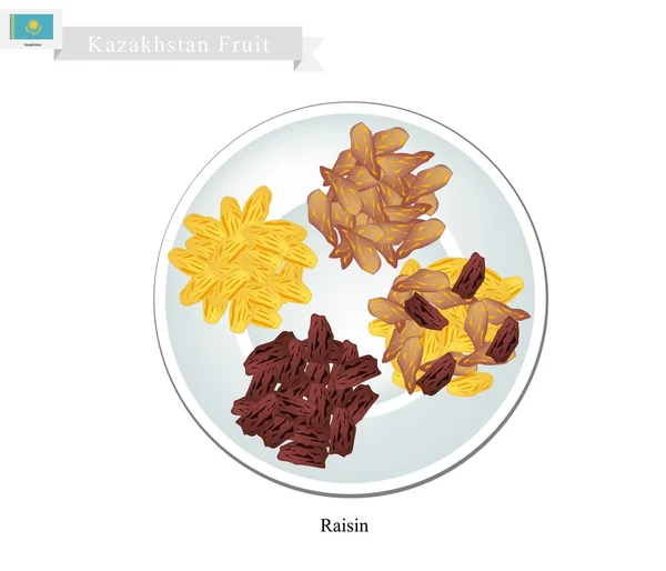 Rozijnen of gedroogde druiven, de populaire snack in Kazachstan — Stockvector