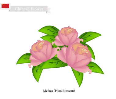 Download Paeon Free Vector Eps Cdr Ai Svg Vector Illustration Graphic Art