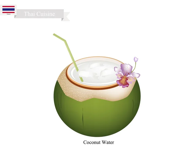 Coconut Water Drink, A Famous Beverage in Thailand — Stock Vector