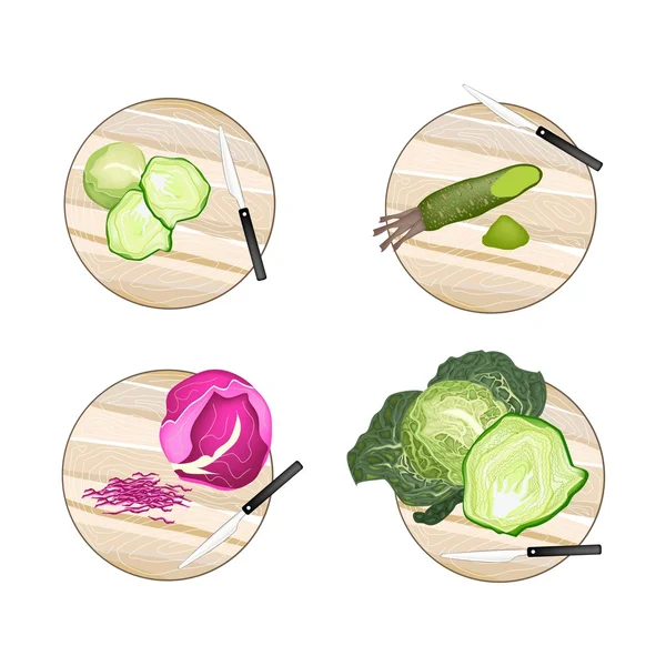 Brussels Sprout, Savoy Cabbage, Purple Cabbage and Wasabi Roots — Stock Vector