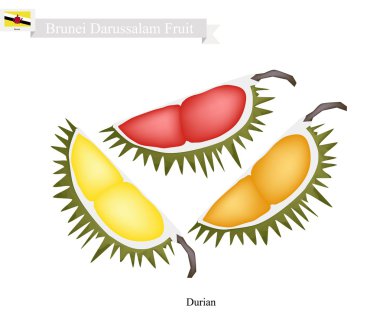 Olgun Durian, Brunei Sultanlığı ünlü bir meyve
