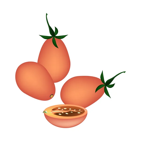 白色背景的新鲜红葡萄番茄 — 图库矢量图片