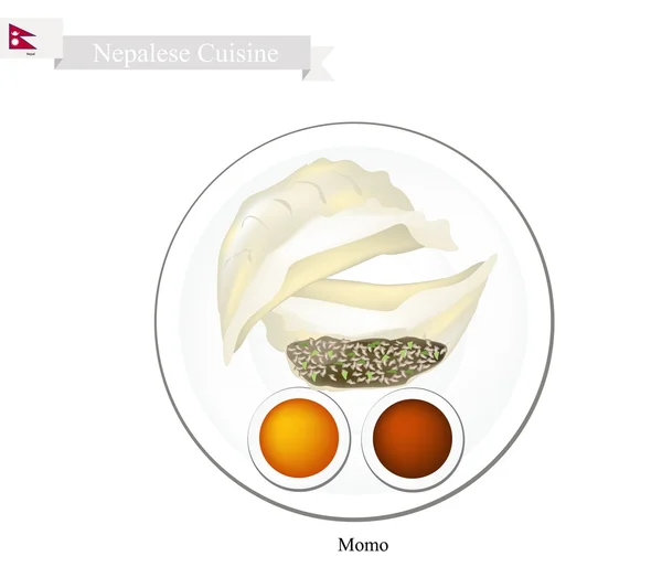 Momo lub nepalska knedle parowe z sosem — Wektor stockowy