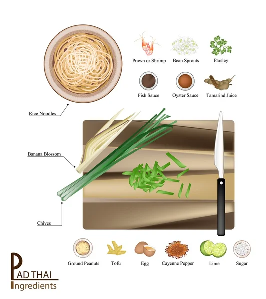 16 Ingrédients Coussinet Nouilles thaïlandaises ou sautées — Image vectorielle