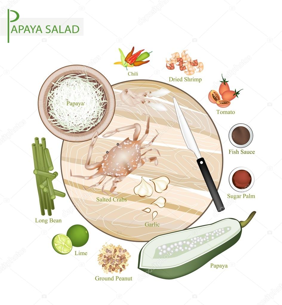 12 Ingredients Thai Green Papaya Salad Recipe Stock Vector by ©Iamnee