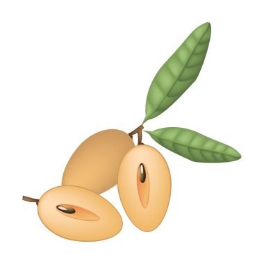 Whole and Half Sapodilla on White Background