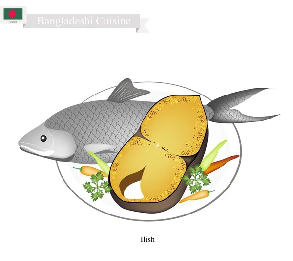 Bangladeshisk saltad och stekt Ilish fisk på vit bakgrund — Stock vektor