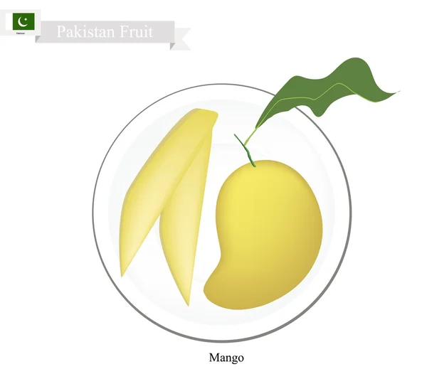 Świeże mango, słynny owoc w Pakistanie — Wektor stockowy