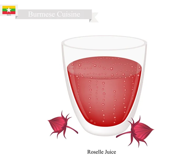 Roselle Juice, A híres ital Mianmarban — Stock Vector