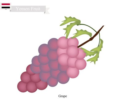 Olgun üzüm, Yemen'deki popüler bir meyve