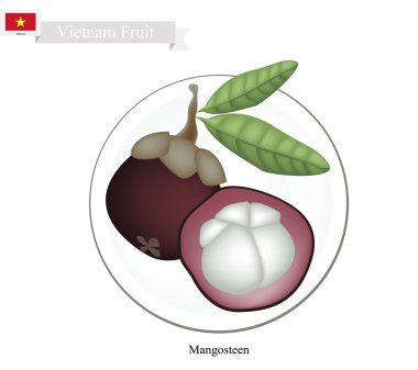 Mor Mangosteens, Vietnam Ünlü Meyve