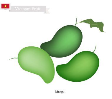 Taze Mango, Vietnam'da Ünlü Meyve