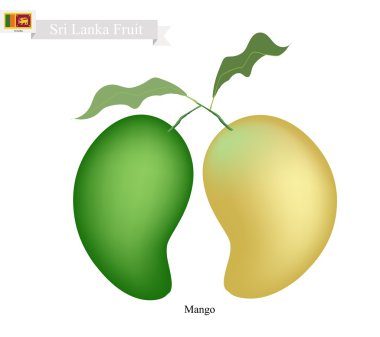 Taze Mango, Sri Lanka'da Ünlü Meyve