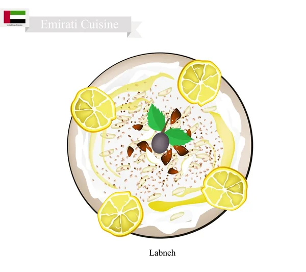 Labneh of Emirati roomkaas met zure smaak — Stockvector