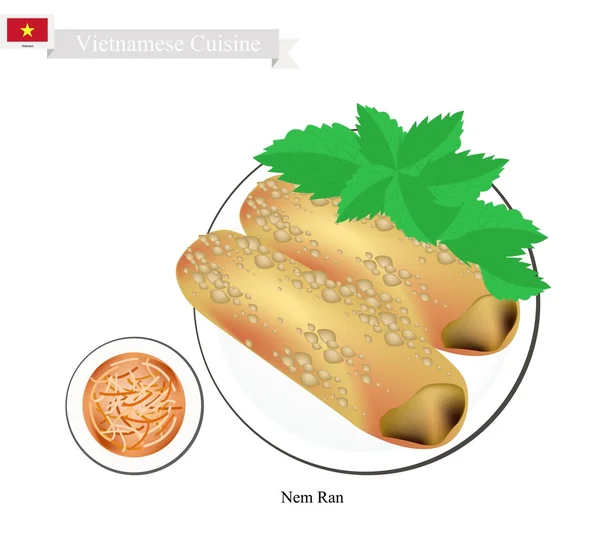 Nem ran oder vietnamesische knusprige Frühlingsrollen — Stockvektor