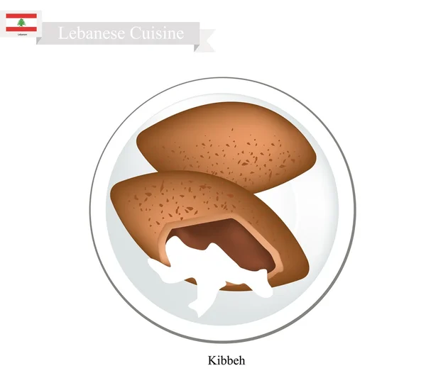 Kibbeh of Libanese gehaktballen van gehakt vlees en bulghur tarwe — Stockvector