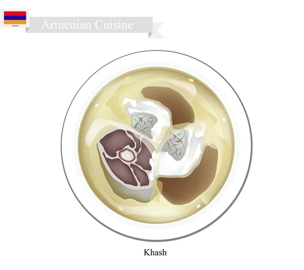 Khash 또는 아르메니아 전통 소 피트 수프 — 스톡 벡터