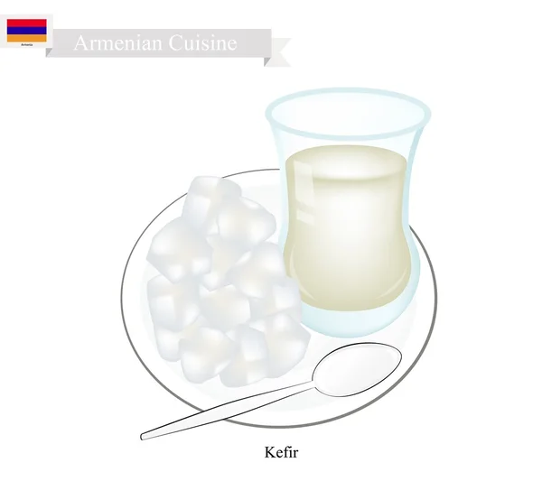 Kefir of Armeense gefermenteerde melk met zure smaak — Stockvector