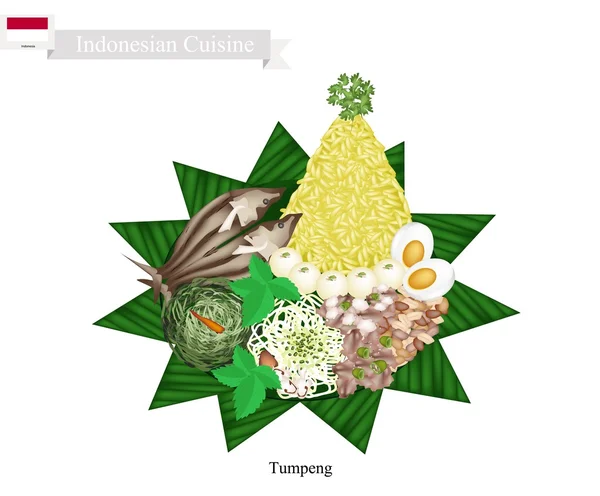 Тумпенг или индонезийский конусообразный рис с разнообразными индонезийскими продуктами питания — стоковый вектор