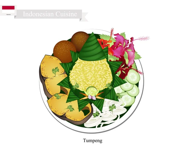 Тумпенг или индонезийский конусообразный рис с различными индонезийскими блюдами — стоковый вектор