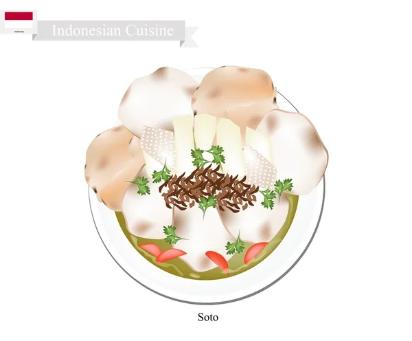 소토 또는 인도네시아 닭고기와 야채 수프 — 스톡 벡터